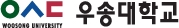 우송대학교 로고