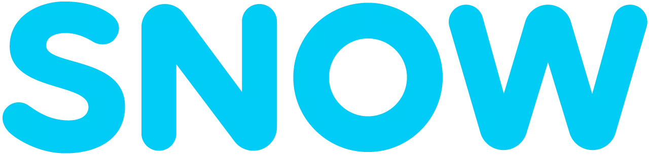 스노우 기업 아이콘