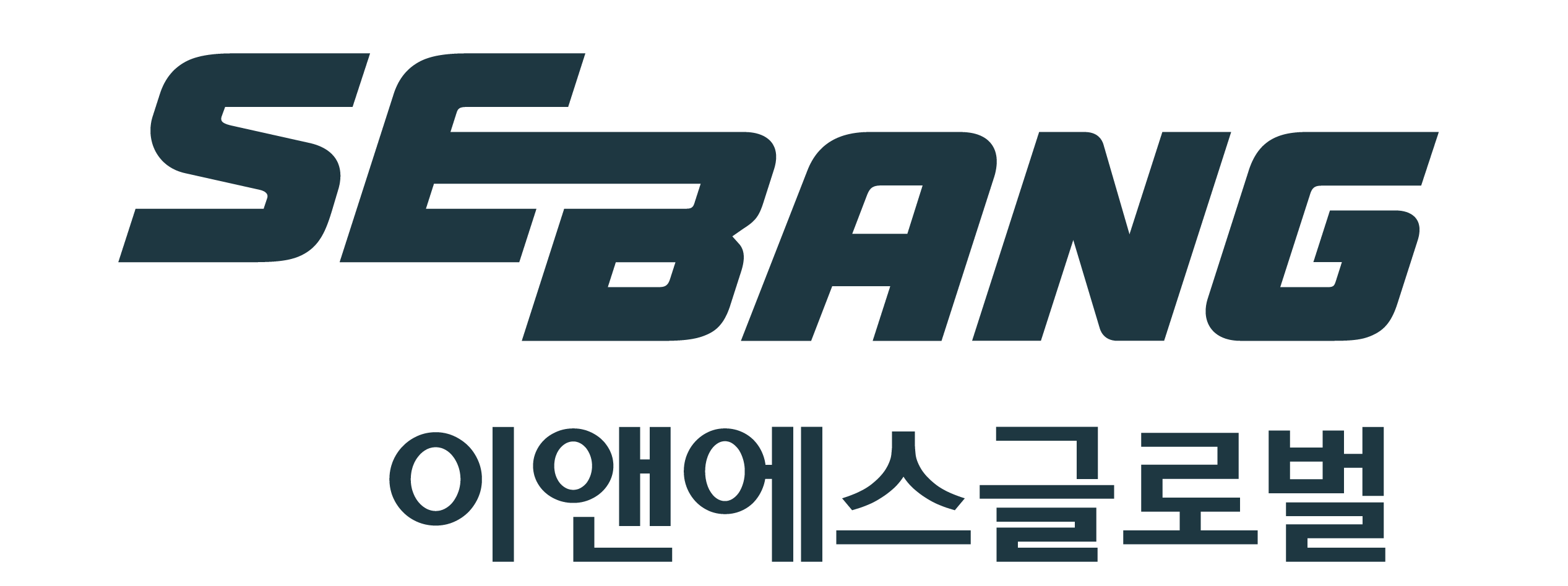 이앤에스글로벌 로고