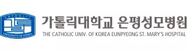 가톨릭대학교 은평성모병원 기업 아이콘
