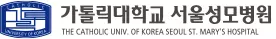 가톨릭대학교 서울성모병원 기업 아이콘