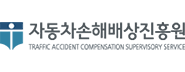 자동차손해배상진흥원 로고