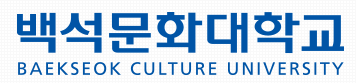 백석문화대학교 로고