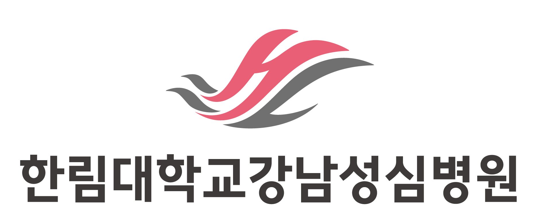 한림대학교강남성심병원 로고